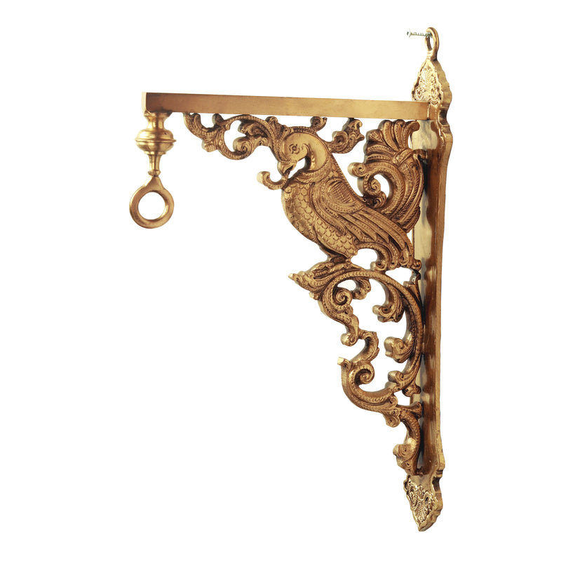 Wall hanging parrot